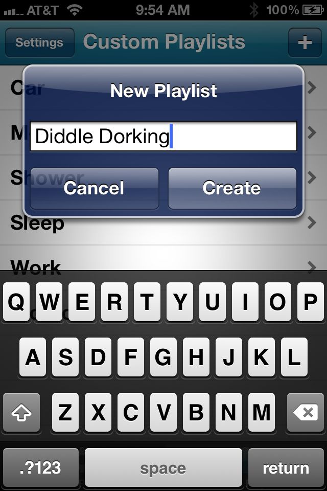 iPhone Screenshot 1